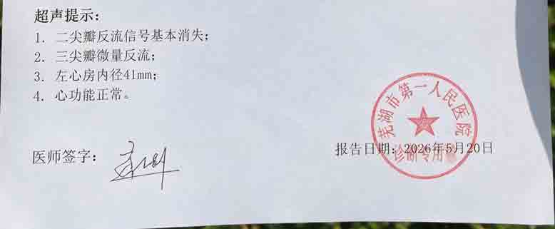 2026年复查报告